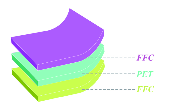 Double-sided Fluorine-coated Backsheet Market