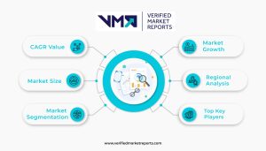 Verified Market Reports