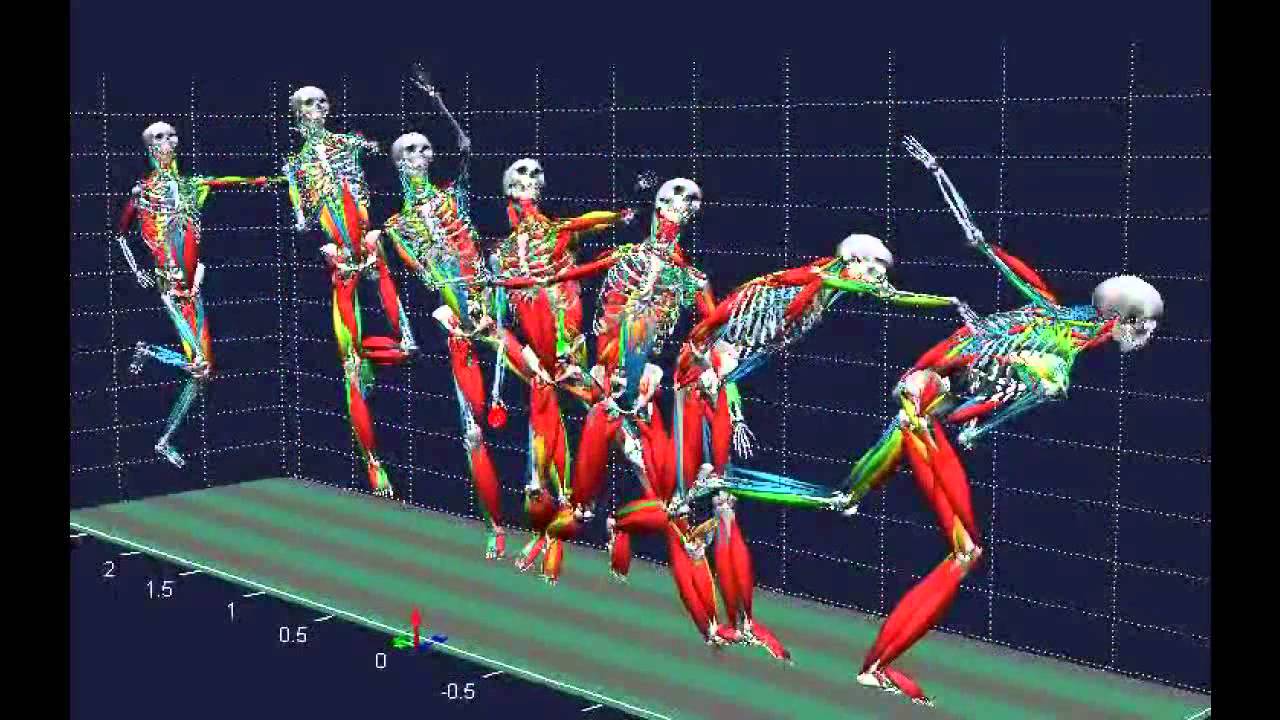 Biomechanical Analysis Software