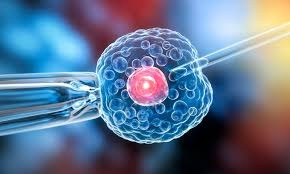 Biotherapeutics Cell Line Development