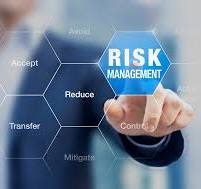 Corporate Financial Risk and Strategic Advisory