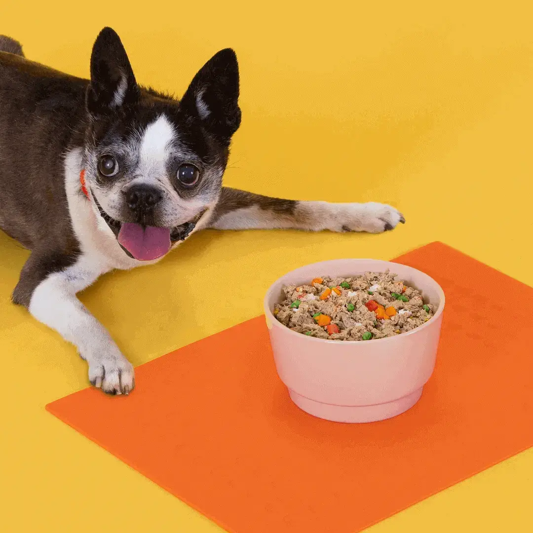 DTC Pet Food