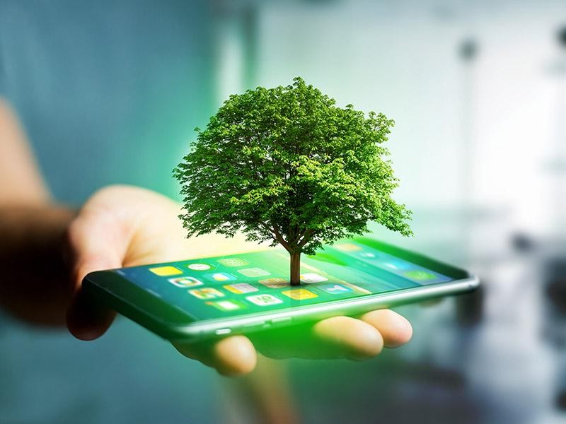 Green Technology and Sustainability Market