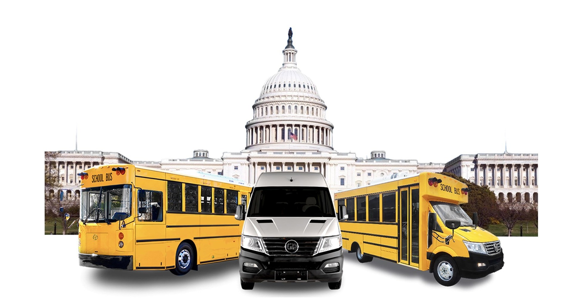 Pure-Electric School Bus Market