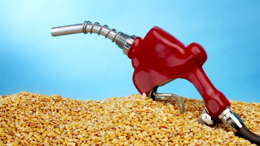 Renewable Synthetic Fuel