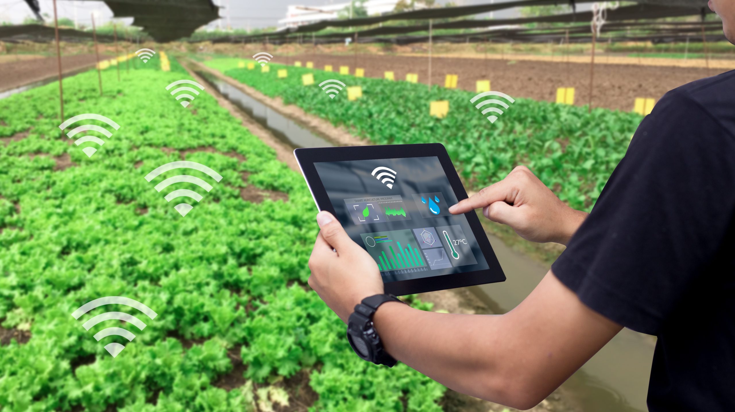 Smart Agriculture System