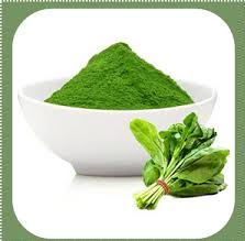 Spinach Powder Market May See Potential Upside in Years to Come