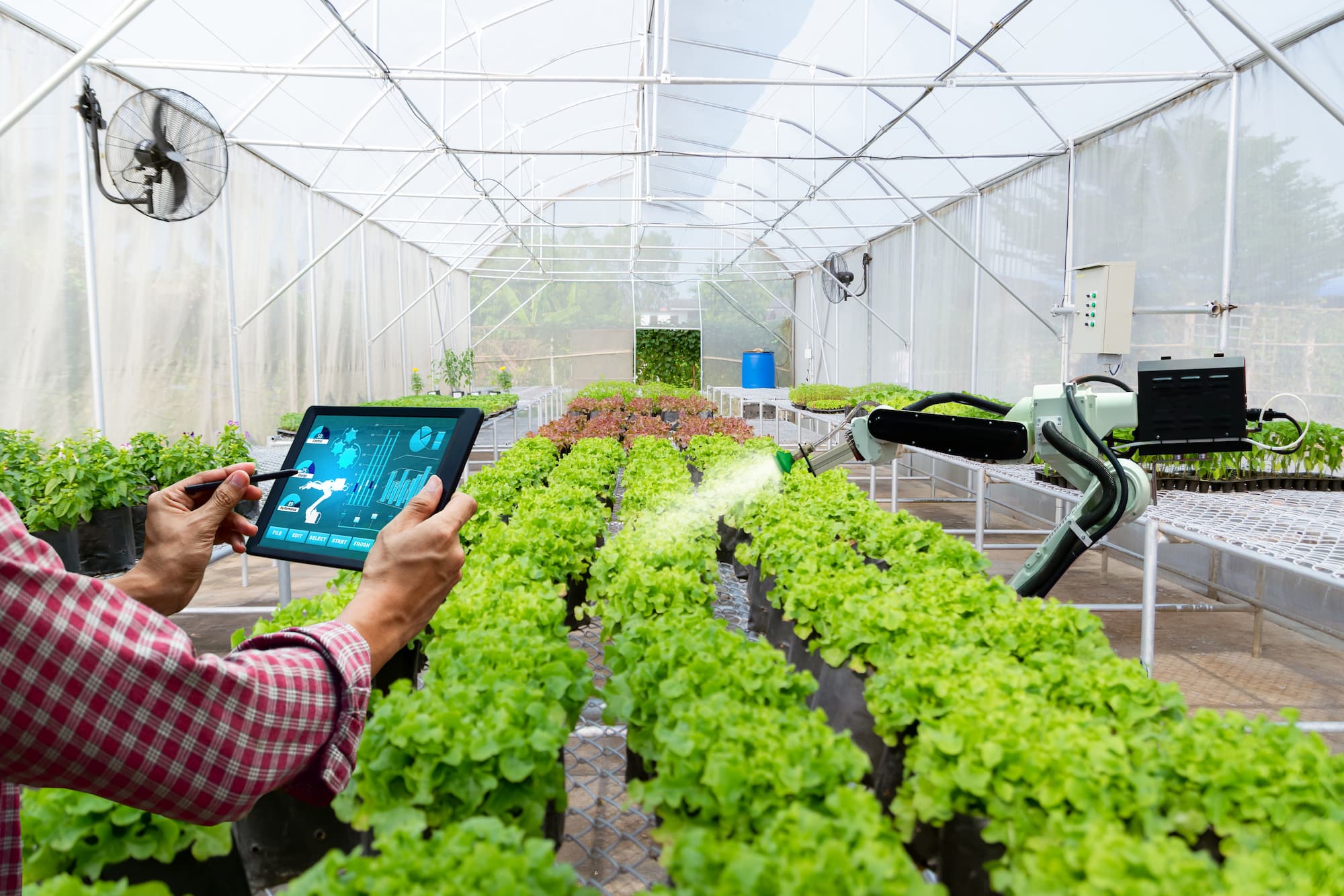 Intelligent Greenhouse Market to Witness Stunning Growth with Major Giants Palram, RBI, FatDragon