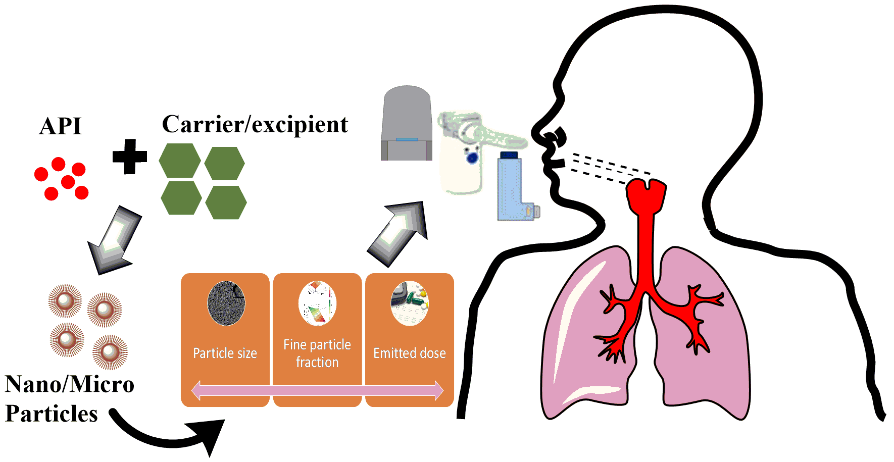 Pulmonary Drug Delivery Systems Market Have High Growth but May Foresee Even Higher Value